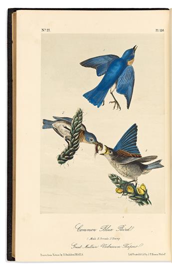 (BIRDS.) John James Audubon. The Birds of America.